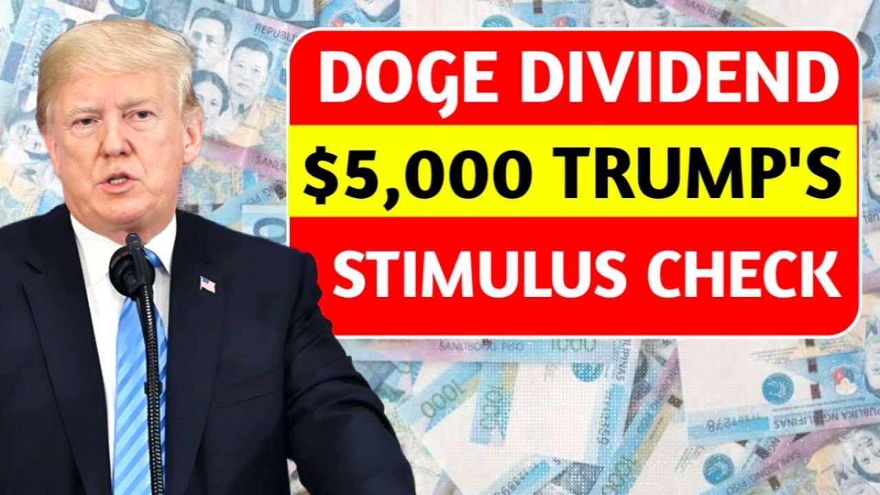 DOGE Stimulus Checks